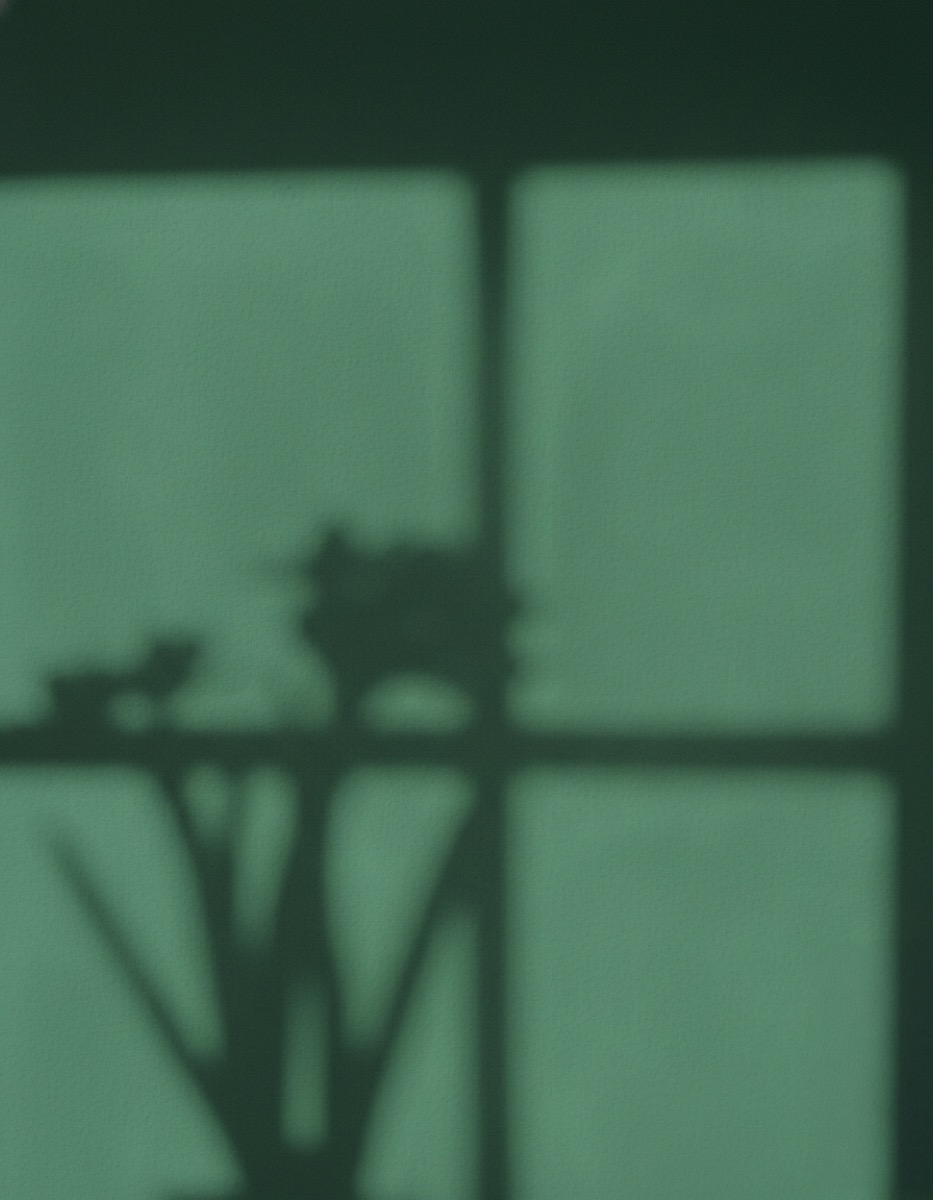 Soft green studio detail